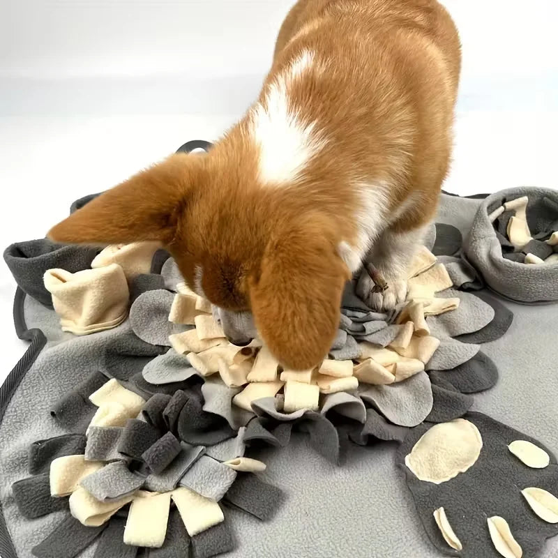Interactive Snuffle Mat for Dogs – Slow Feeder & Foraging Activity Mat