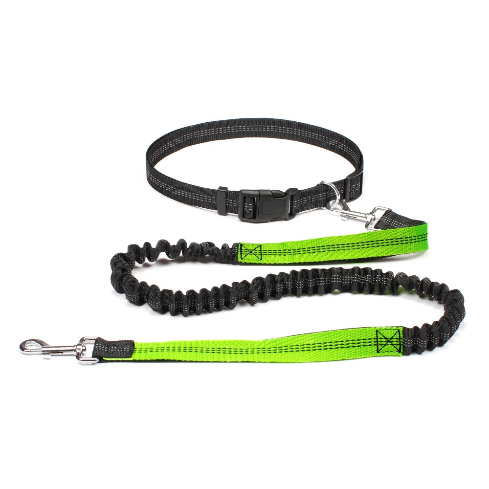 Hand Free Dog Leash with Adjustable Waist Belt