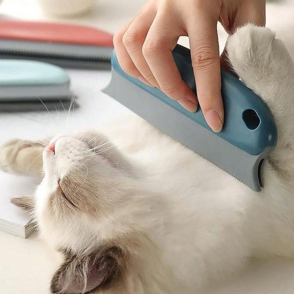 Reusable Pet Hair Remover – Fur Cleaning Tool for Sofas, Cars & Carpets