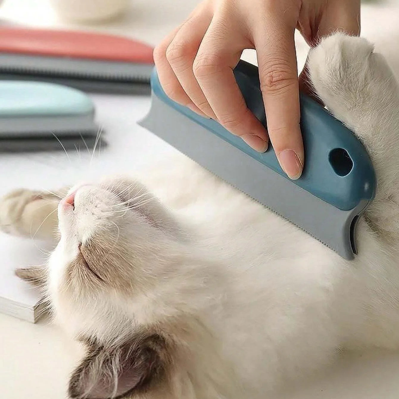 Reusable Pet Hair Remover – Fur Cleaning Tool for Sofas, Cars & Carpets