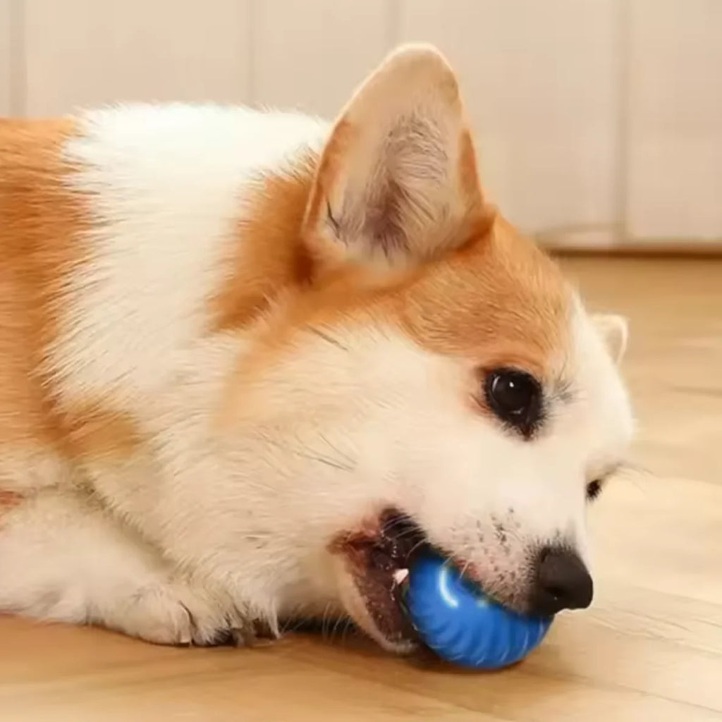 Smart Interactive Dog Ball – Rechargeable Automatic Rolling Toy
