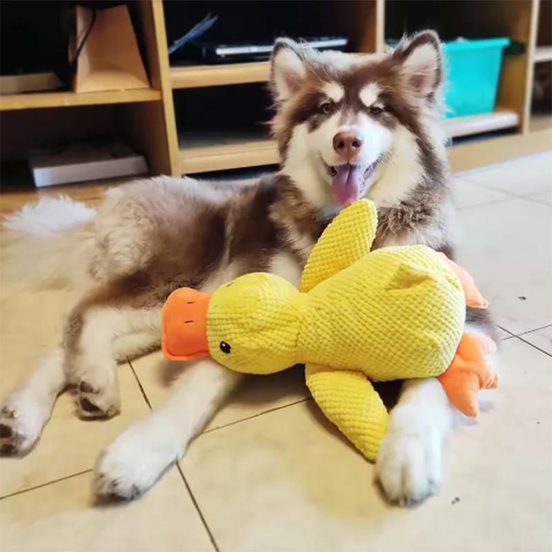 Plush Duck Dog Toy – Soft Interactive Chew & Cuddle Toy