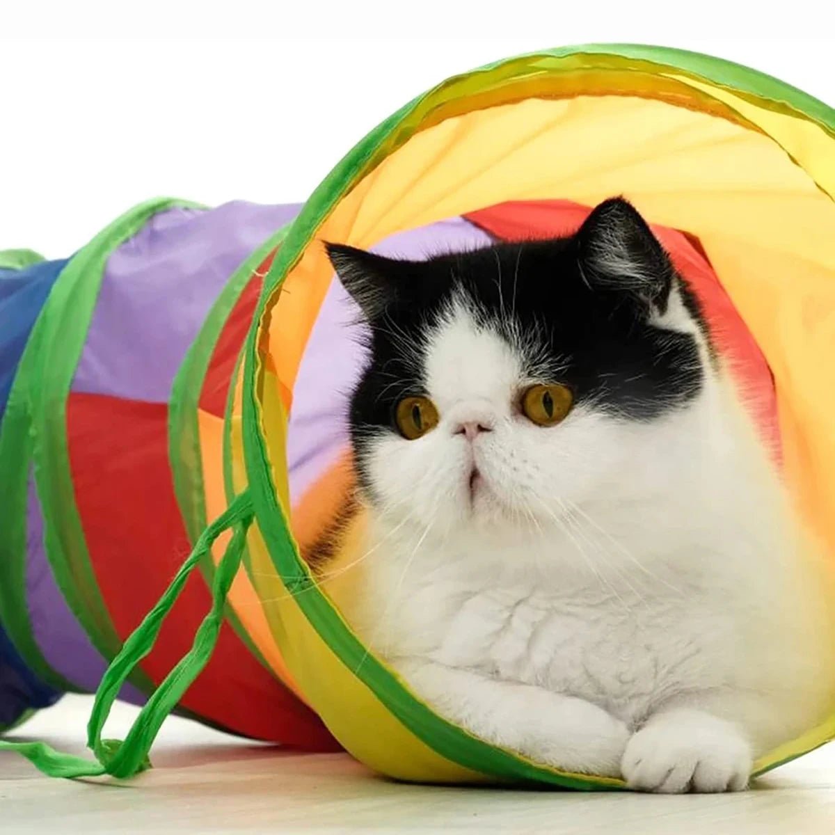 Foldable Cat Tunnel – Interactive Play & Exercise Toy