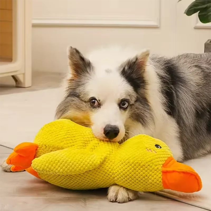 Plush Duck Dog Toy – Soft Interactive Chew & Cuddle Toy