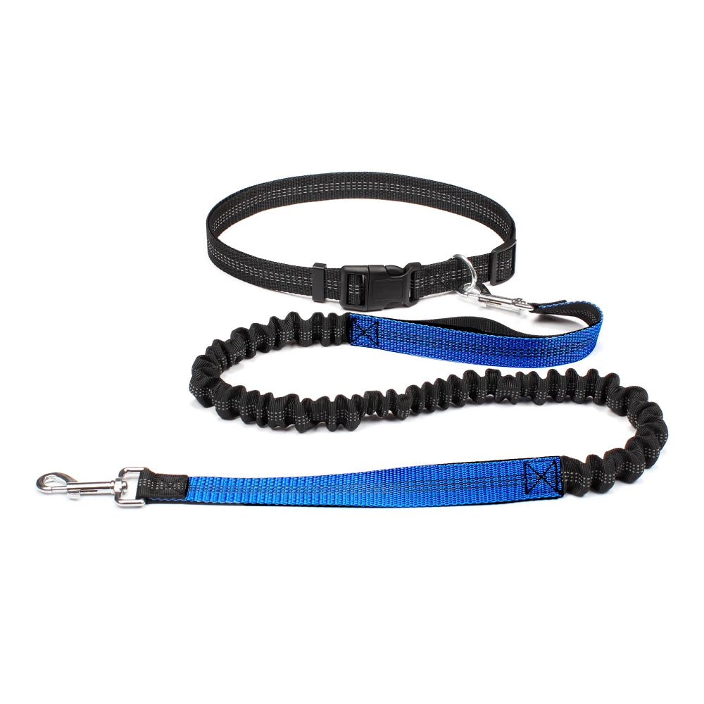 Hand Free Dog Leash with Adjustable Waist Belt