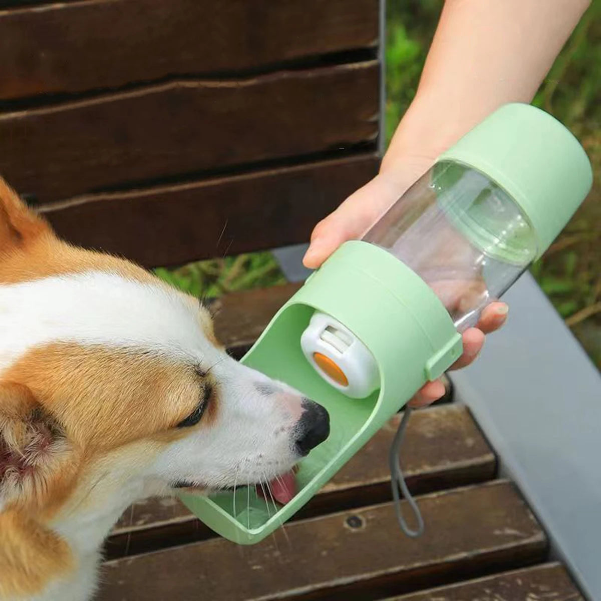 Portable Pet Water Bottle with Food Storage – Travel Feeder for Dogs & Cats