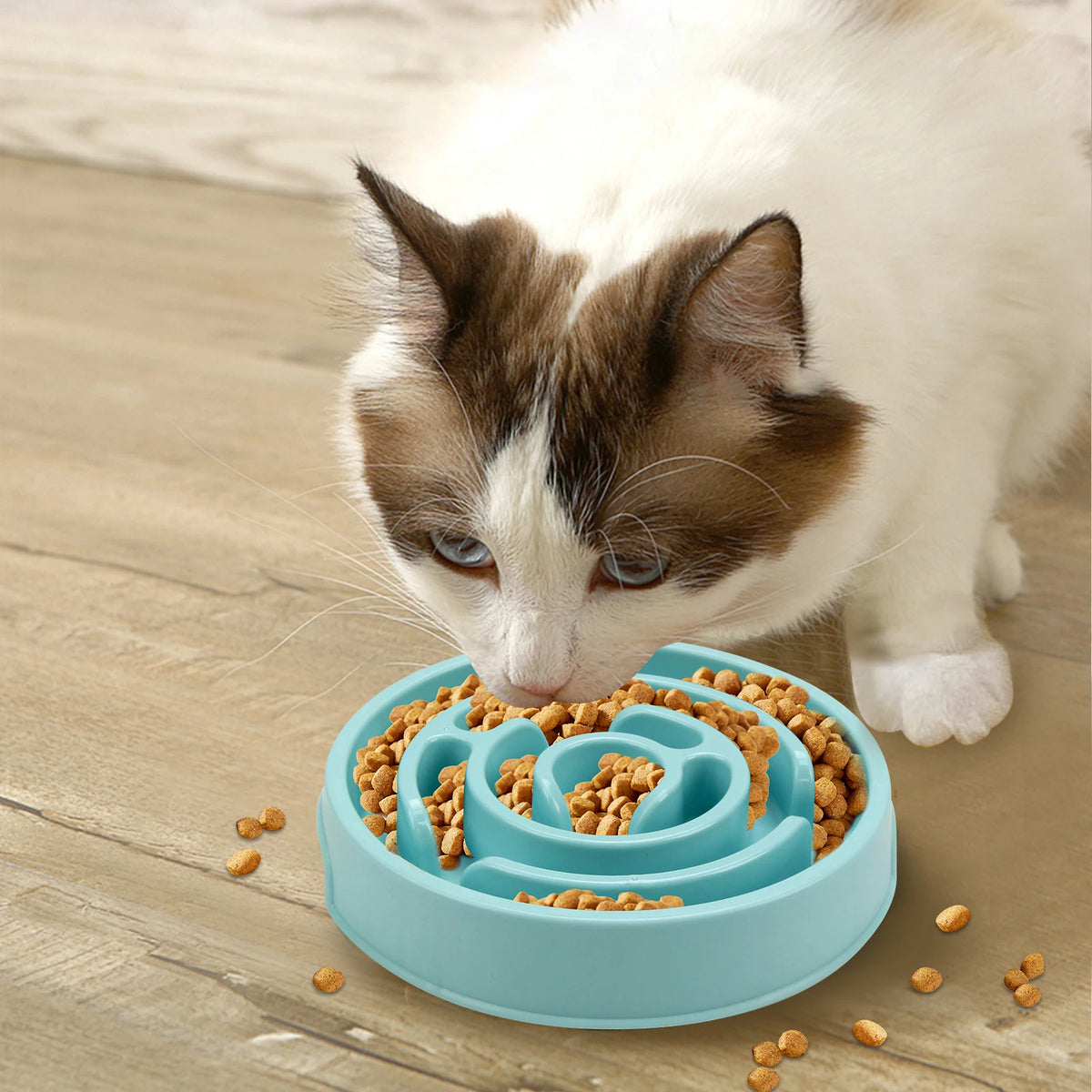 Slow Feeder Dog Bowl – Non-Slip Anti-Gulping Pet Food Bowl