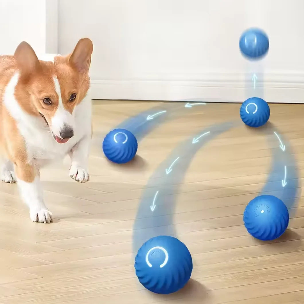 Smart Interactive Dog Ball – Rechargeable Automatic Rolling Toy