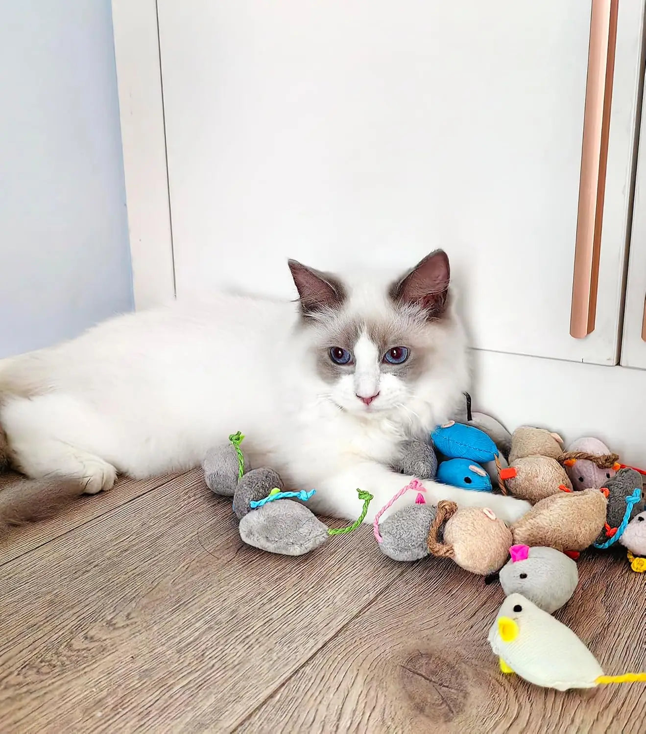 Catnip Mouse Toys for Cats – Interactive Rattle Plush Mice