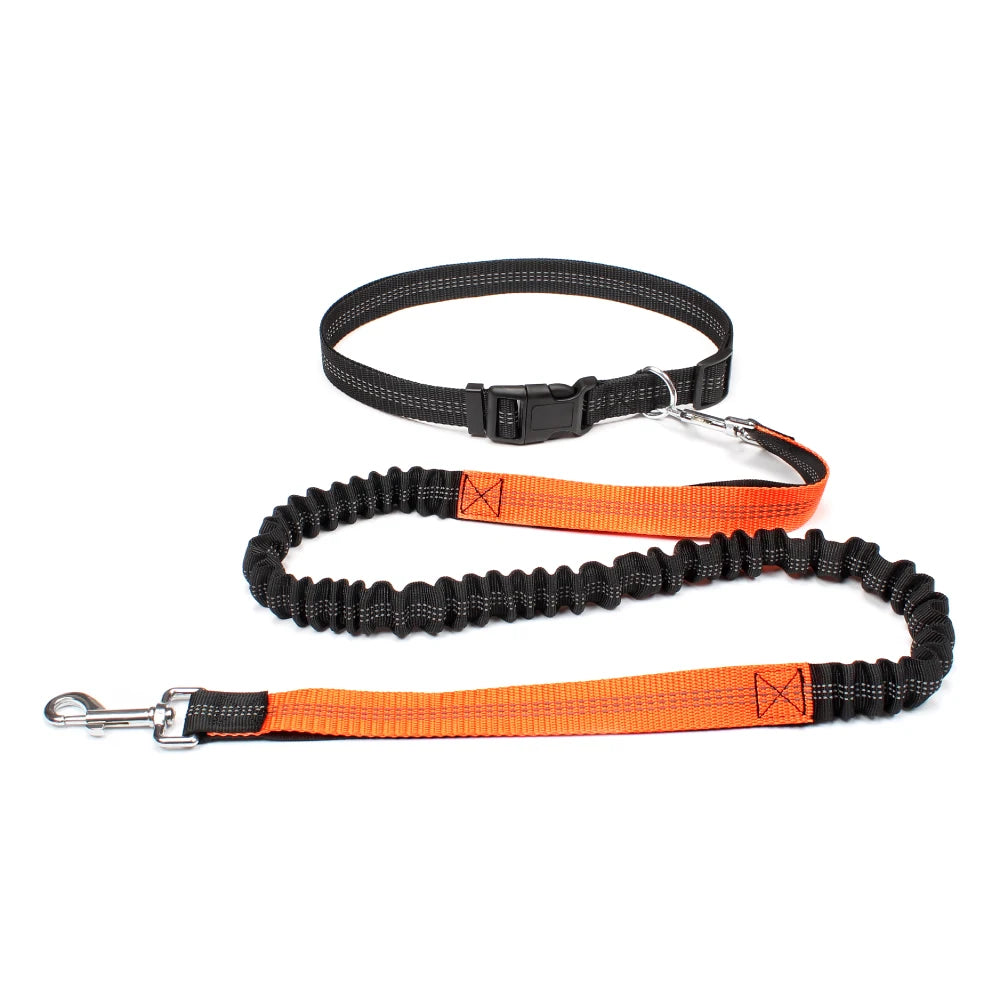 Hand Free Dog Leash with Adjustable Waist Belt