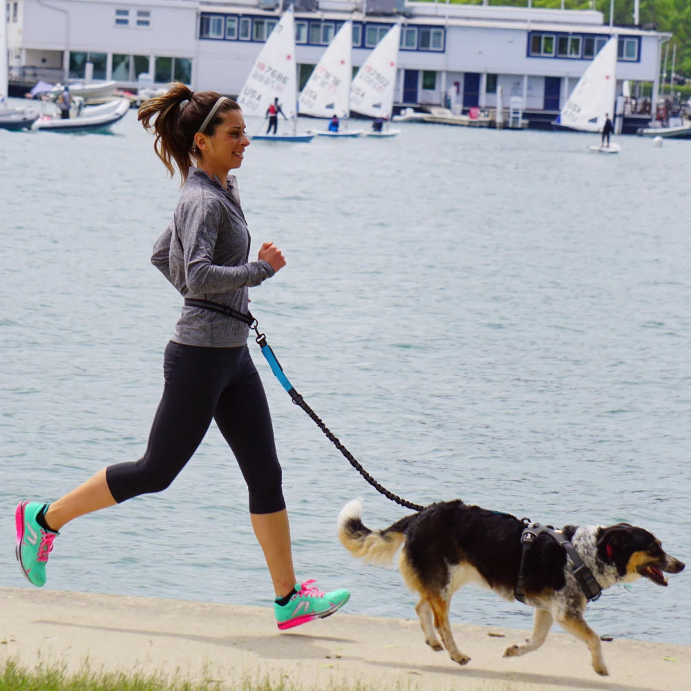 Hand Free Dog Leash with Adjustable Waist Belt
