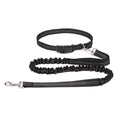 Hand Free Dog Leash with Adjustable Waist Belt