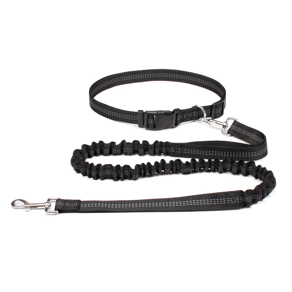 Hand Free Dog Leash with Adjustable Waist Belt